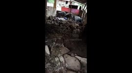 The pigs were lucky to survive the flash flood that devastated the village