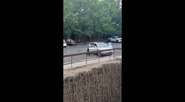 Hungry bear casually gets into ladies' car in search for food