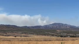 Nixon fire On Wednesday Morning