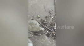 Oil spill from sunken tanker reaches fishing towns in the Philippines