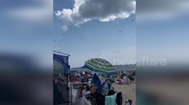 United States: Dragonfly Swarm Descends on Misquamicut State Beach, Rhode Island