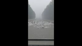 Fish leap from lake during heavy rainfall in China