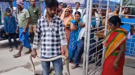 India: A young man reached the hospital holding a snake in his hand after being bitten by a snake: Crowd of onlookers gathered at Gopalganj Sadar Hospital, treatment is going on