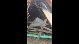 Typhoon Gaemi causes flooding in Barangay Banawan, Pio Duran, Albay, Philippines