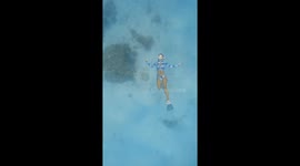 Freediver captures shark passing over bubble ring in Maldives