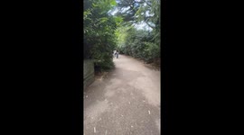Dublin Zoo trip gets a side of giggles with a playful prank