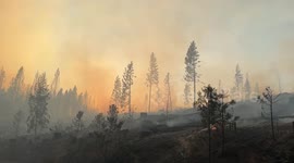 Tehama County Of California Wildfire