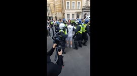 Protester pinned to ground by officers as clashes with police erupt in London