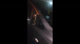 Snake found slithering across family's car windscreen during rain