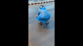 Kind driver rescues two injured turtles stranded on busy road