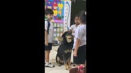 Adorable pet dog loves being gentle with kids