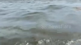 Oil spill destroys tropical beach with dark sheens after Typhoon Gaemi sinks tanker in the Philippines