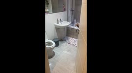 Bubbly fun: Playful pup jumps into a tub full of bubbles