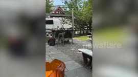 J Lo's pizza stop as birthday week continues without Ben Affleck