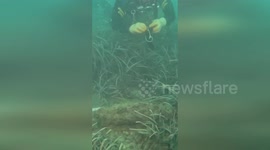 Spain: Navy Divers Neutralize Civil War Era Projectile off Alicante's El Postiguet Beach