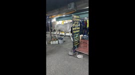 Horse wanders into stalls in Buenos Aires, Argentina