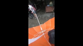 Man saves stranded kittens using umbrella in Pasig, Metro Manila