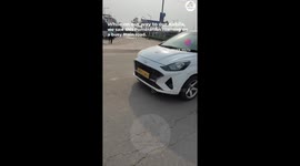 Saving an abandoned, weak, and malnourished pomeranian from a busy road