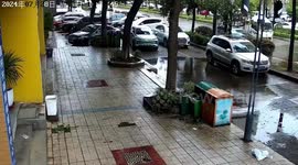 Large tree becomes pavement shrub as sinkhole sucks it into the ground