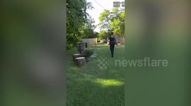 Police officers rescue horse from Oklahoma swimming pool