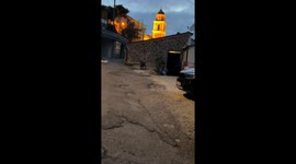 Woman Encounters Wild Boar on Street