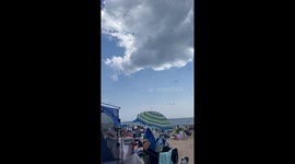 Dragonflies Swarm Rhode Island Beach
