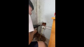 Break the wall to rescue a kitten stuck in a narrow wall gap