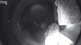 Snake Slithers Across Doorbell Camera