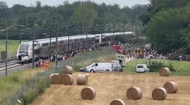 France: High-Speed Train Hit Fallen Trees On Tracks In Yonne, Causing Traffic Interruptions