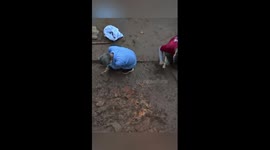 Int'l student unearths 3,000-year-old bronze arrowhead in Wuhan, China