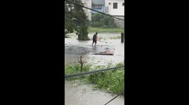 Hero resident rescues dog stranded in typhoon floods