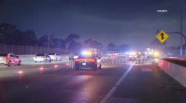 USA: Female Struck and Killed on 105 Freeway