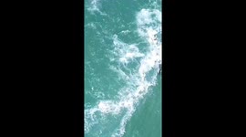 P-p-pick up a penguin: Surfer rescues penguin stranded in rocks by putting it in bag