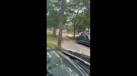 Crows attack resident on Golovatskogo Street, Gomel, Belarus