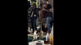 Cats captured enjoying live music performance in Monterrey, Mexico