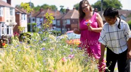 Green fingered homeowner creates 'garden of eden' by planting verges on street