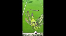 Chinese farmers carve giant cartoon images into rice field