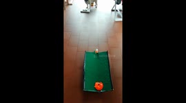 Pug Plays Mini Putt