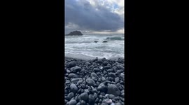 The black pebbles of the rocky shore partner with the water to make a unique song.