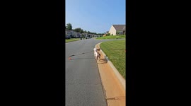 Smokey's Wide Load Stick Coming Through