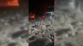 Lebanon: Israeli aircraft targeted food trucks crossing the Syrian-Lebanese border