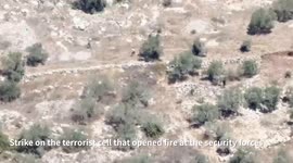 Palestine: the IDF eliminated a terrorist cell in an aerial strike as part of counterterrorism activity in the area of Tulkarm