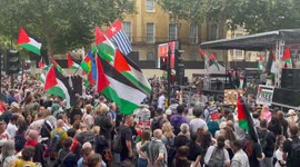 Pro Palestine protesters gather in Whitehall, London.