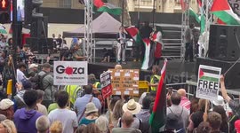Pro Palestine protesters gather in Whitehall, London.