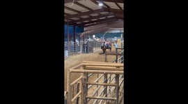 Young girl handles horse's high speed and reins with greater ease