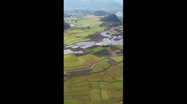 Breathtaking drone footage captures China’s vibrant rice field palette