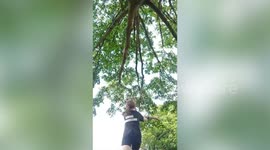 Hilarious response of girl, 11, after getting whacked with rope swing