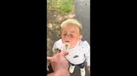 Mischievous fun: Dad and daughter prank little boy with a dandelion