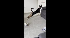 Mom laughs joyfully as the dog lays out in an odd stretching pose