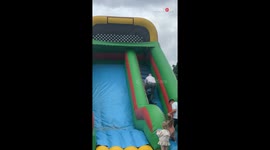 Gentleman's hilarious struggle to conquer a bouncy castle at christening event